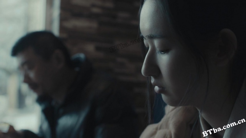 大象席地而坐/金羊毛/爱在樱花盛开时