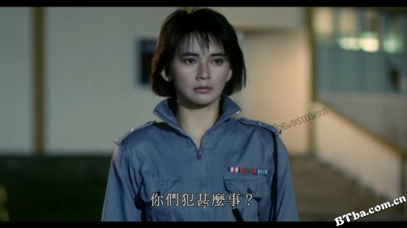 霸王花/霸王花与霸王花/Lady Enforcers