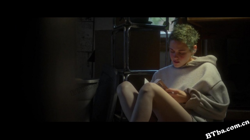 JT·莱罗伊/JT Leroy