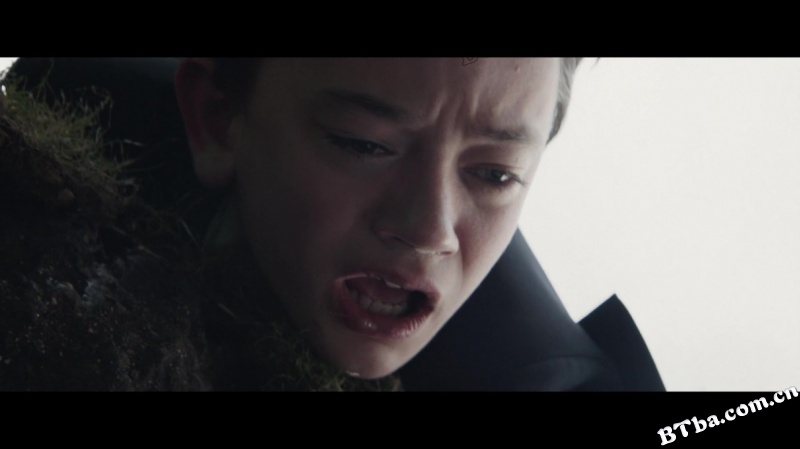 当怪物来敲门/魔树奇缘(港)/怪物来敲门(台)/A Monster Calls