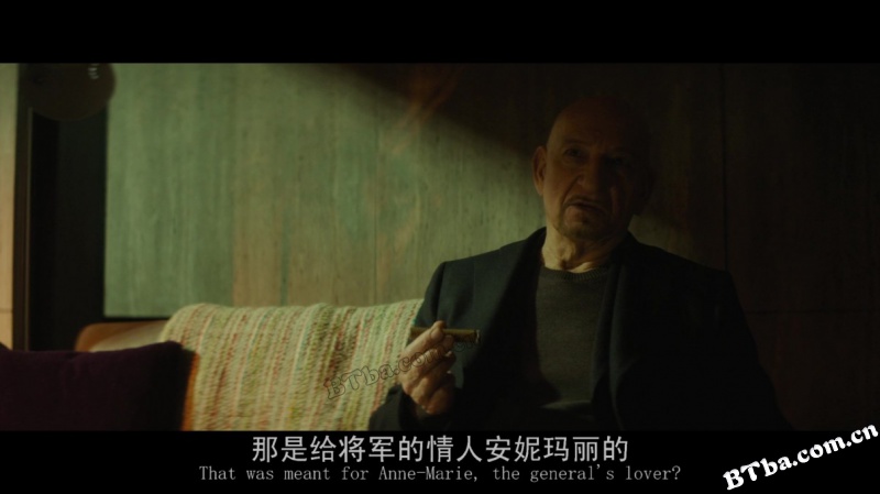 网中蜘蛛/网中蛛/Spider In The Web