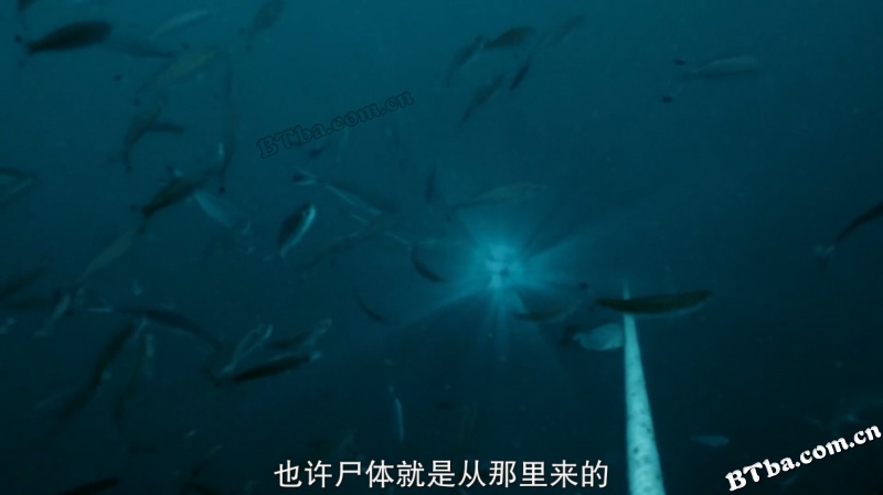 丧尸潮/Zombie Tidal Wave