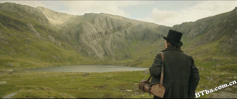 透纳先生/透纳传/特纳先生/Mr. Turner