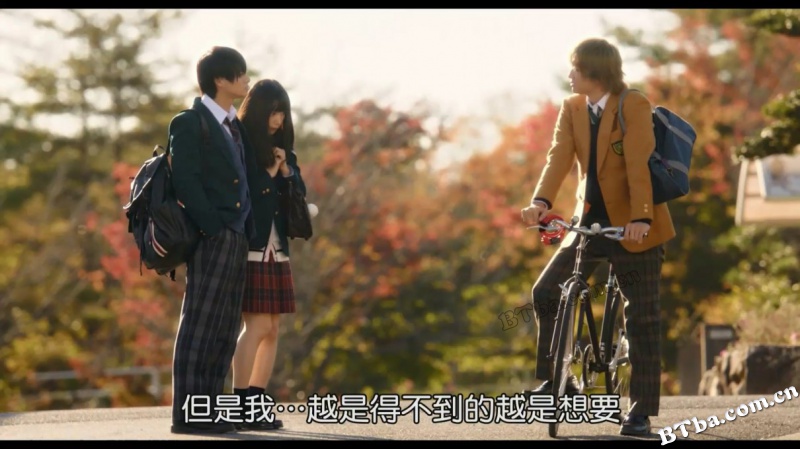 青涩之恋/我的傲娇男友(台)/两小无猜·纯真之恋/ういらぶ。
