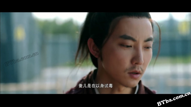 侠僧探案传奇之洛阳花会/侠僧探案传奇5/少林寺探案传奇之洛阳花会