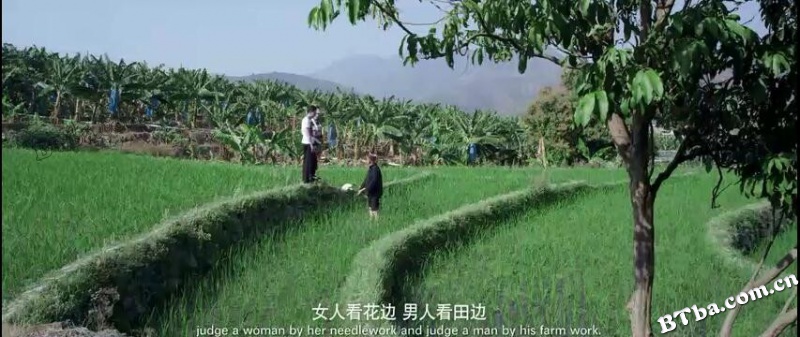 花腰恋歌/Love Song of Huayao Thai
