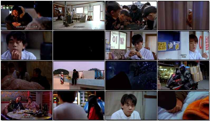 塑料树/真性假爱/留长发的女孩(台)