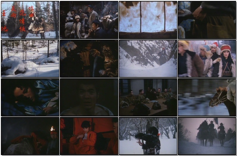 关东女侠/The Heroine in Northeast