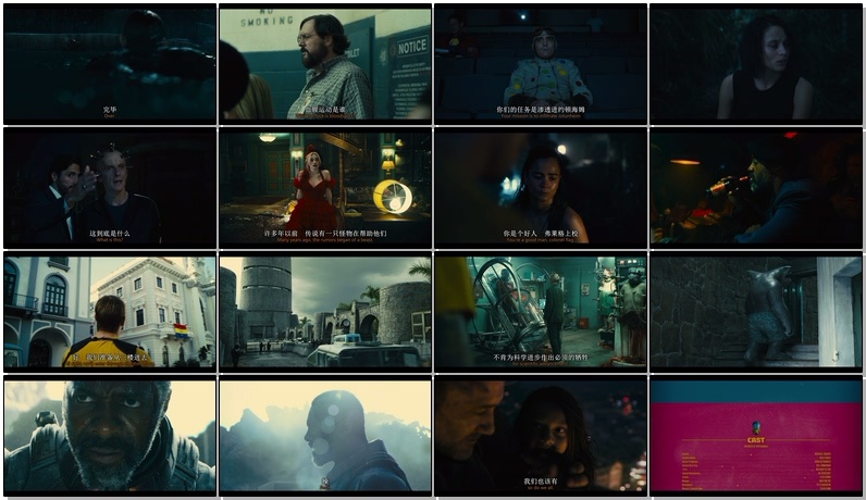 X特遣队：全员集结/自杀特攻(港)/The Suicide Squad