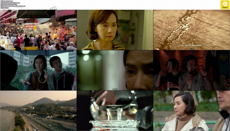 黄金花/Tomorrow is Another Day