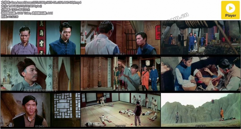 独臂拳王/獨臂拳王
