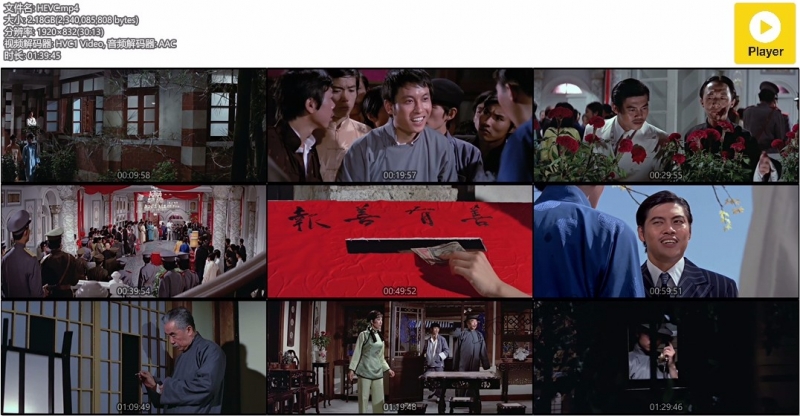 壁虎/The Lizard