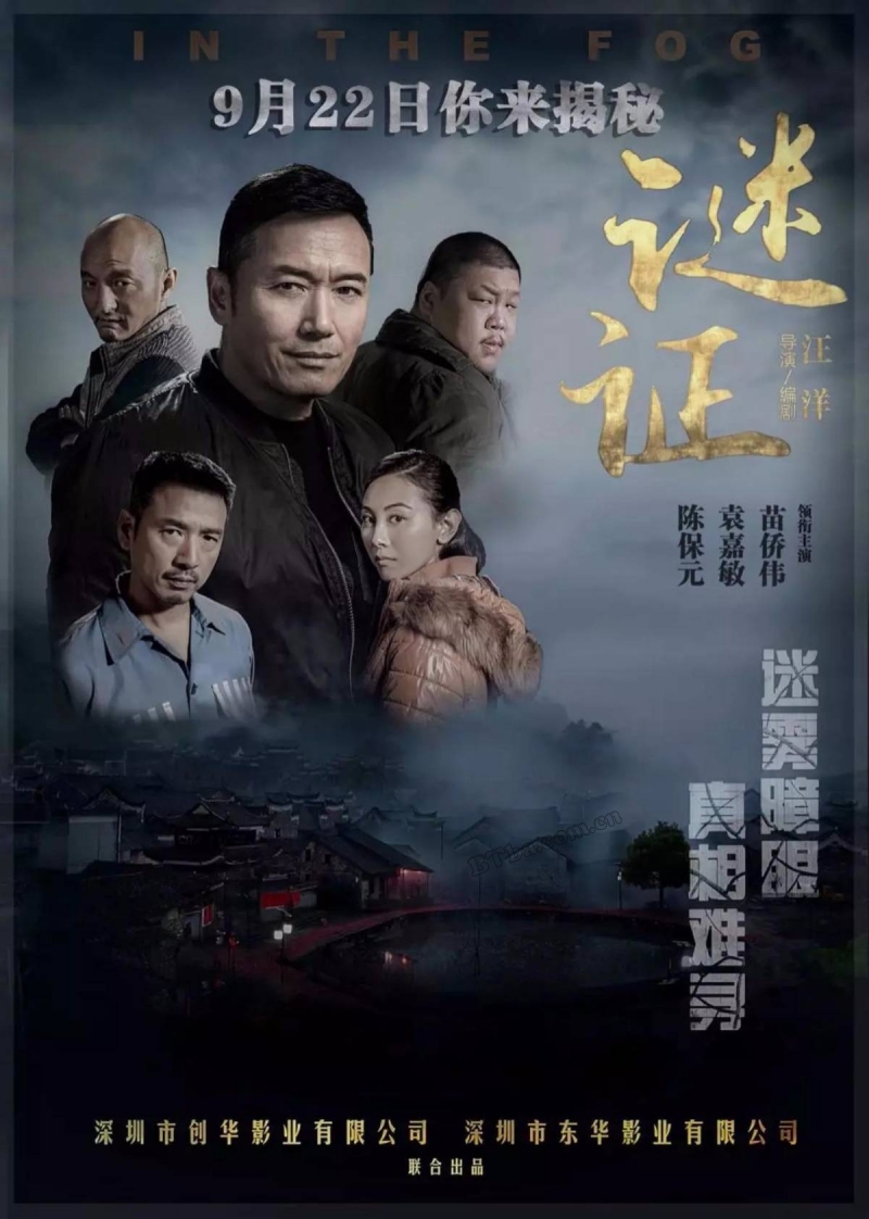 谜证/In the Fog