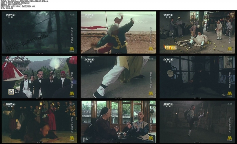 功夫小子闯情关/太极拳/Tai Chi Boxer