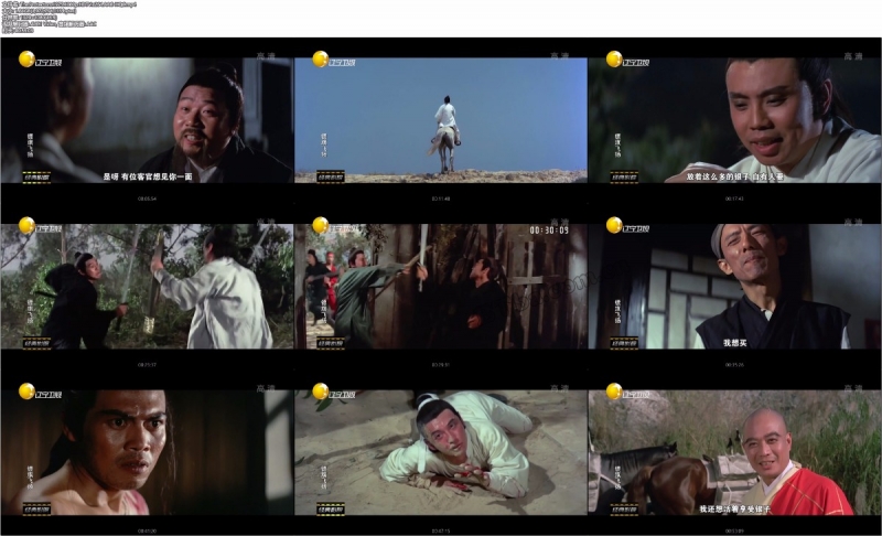 镖旗飞扬/The Protectors