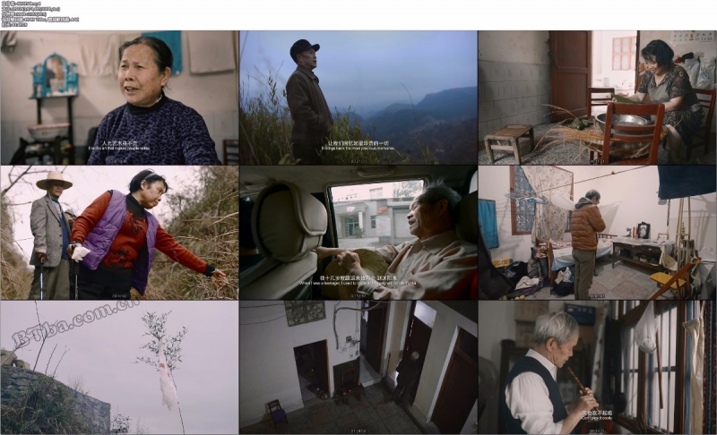 四个春天/Four Springs