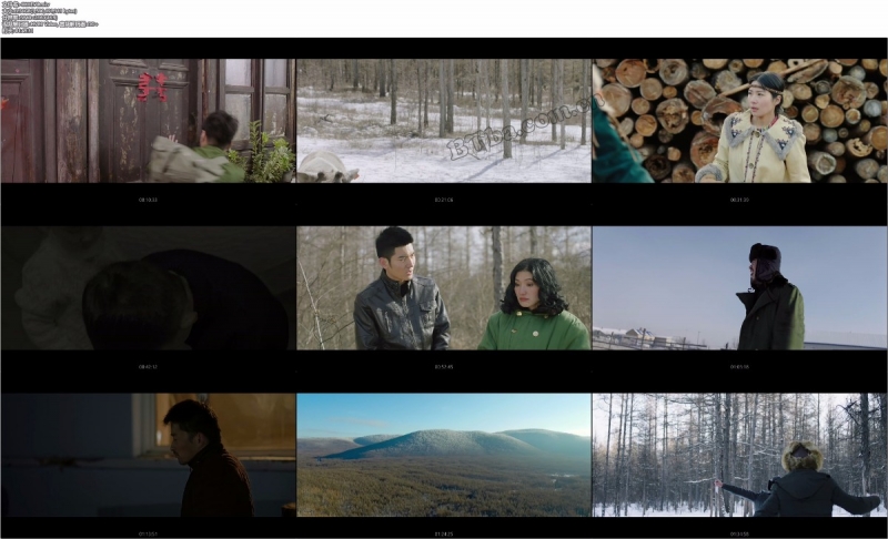 沉默的雪/Silence Snow