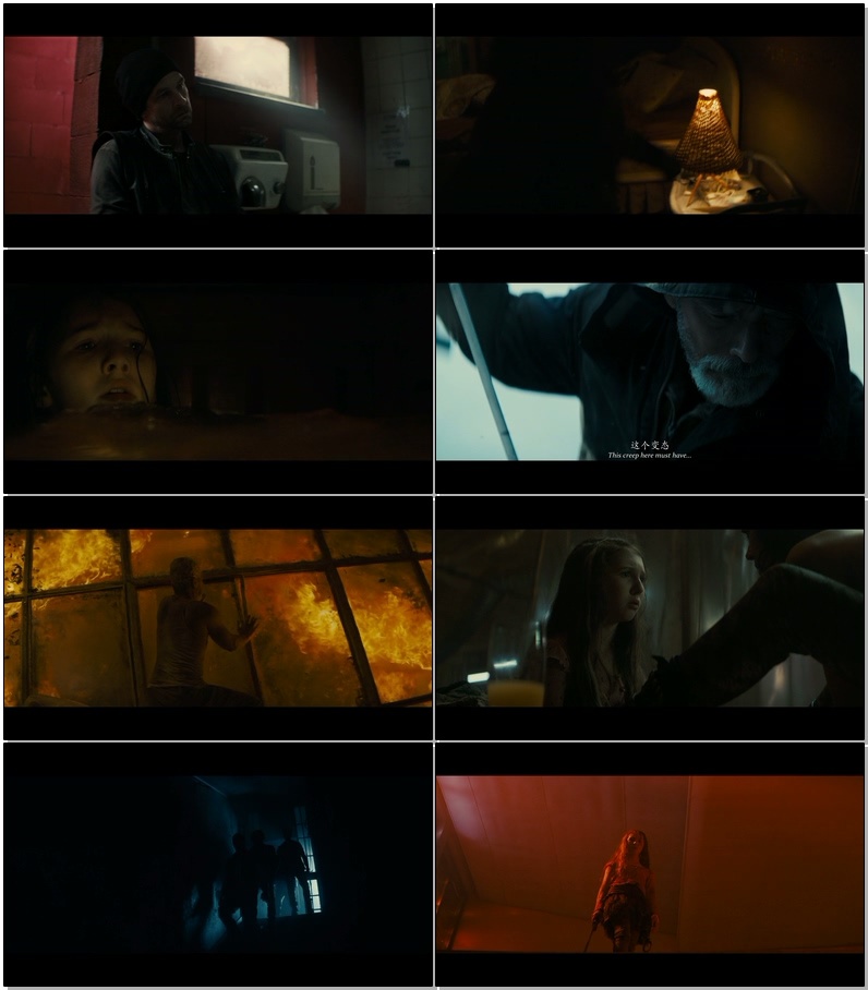 屏住呼吸2/Don't Breathe 2