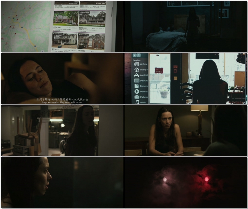 夜间小屋/The Night House