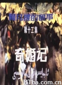 阿凡提的故事之奇婚记/第十二集：奇婚记-720p|1080p高清bt种子下载