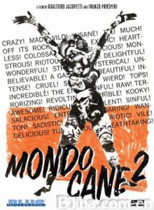 世界残酷奇谭2/Crazy World/Insane World-720p|1080p高清bt种子下载