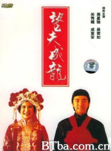 望夫成龙/Love Is Love-720p|1080p高清bt种子下载