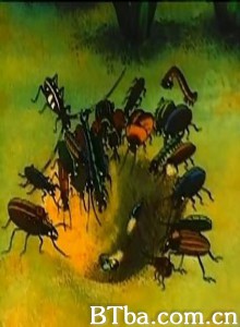 蚂蚁历险记/Travels of an Ant/蚁哥历险记-720p|1080p高清bt种子下载