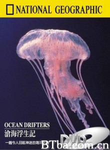国家地理：沧海浮生记-720p|1080p高清bt种子下载