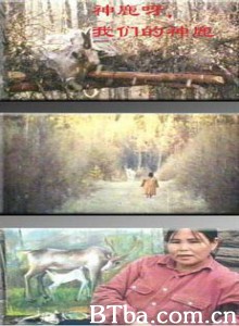 神鹿啊/我们的神鹿/Fading Reindeer Bell-720p|1080p高清bt种子下载