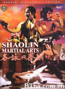 洪拳与咏春/Shaolin Martial Arts-720p|1080p高清bt种子下载