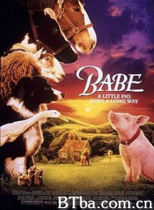小猪宝贝/我不笨，所以我有话要说/小猪贝贝-720p|1080p高清bt种子下载