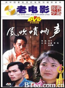 风吹唢呐声-720p|1080p高清bt种子下载
