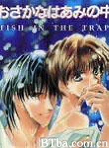 网中鱼/Fish in the trap 网中鱼/Fish in the trap-720p|1080p高清bt种子下载