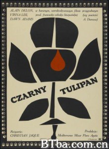 黑郁金香/龙虎风云/The Black Tulip-720p|1080p高清bt种子下载