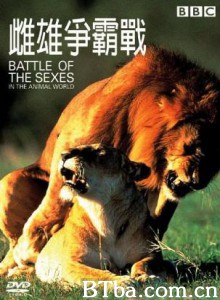 雌雄争霸战-720p|1080p高清bt种子下载