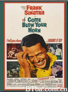 ComeBlowYourHorn-720p|1080p高清bt种子下载