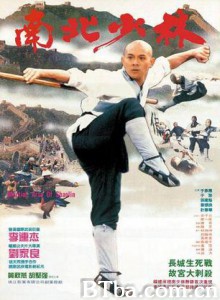 南北少林/Martial Arts of Shaolin 南北少林/Martial Arts of Shaolin-720p|1080p高清bt种子下载