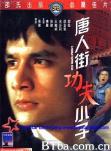 唐人街小子/唐人街功夫小子/以毒攻毒-720p|1080p高清bt种子下载