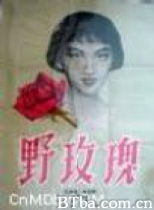 野玫瑰/Wild Rose-720p|1080p高清bt种子下载