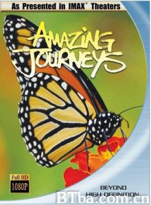奇异的旅程 奇异的旅程-720p|1080p高清bt种子下载