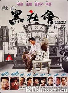 我在黑社会的日子/义不容辞/Triads - The Inside Story-720p|1080p高清bt种子下载