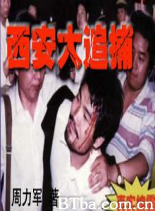 西安大追捕 西安大追捕-720p|1080p高清bt种子下载