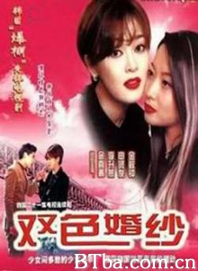 双色婚纱/Wedding Dress-720p|1080p高清bt种子下载
