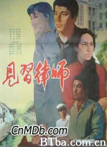 见习律师-720p|1080p高清bt种子下载