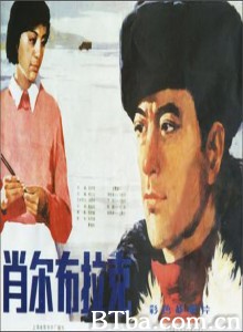 肖尔布拉克-720p|1080p高清bt种子下载