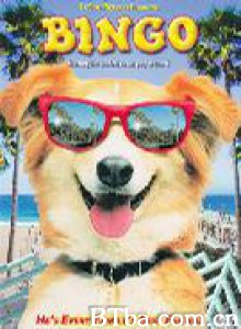 灵犬宾果/神犬走天涯/宾果历险记-720p|1080p高清bt种子下载