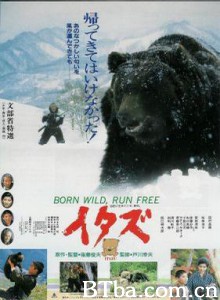 熊/itazu kuma-720p|1080p高清bt种子下载