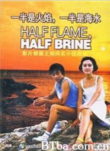 一半是火焰，一半是海水/Half Flame/ Half Brine-720p|1080p高清bt种子下载