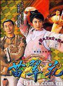苗翠花/Lady Flower Fist-720p|1080p高清bt种子下载