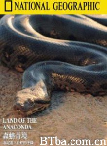 国家地理：森蚺奇境-720p|1080p高清bt种子下载